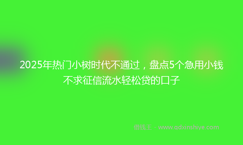 2025年热门小树时代不通过，盘点5个急用小钱不求征信流水轻松贷的口子