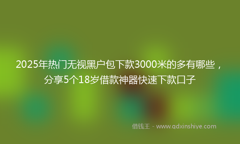 2025年热门无视黑户包下款3000米的多有哪些，分享5个18岁借款神器快速下款口子