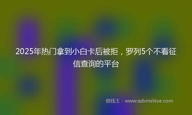 2025年热门拿到小白卡后被拒，罗列5个不看征信查询的平台
