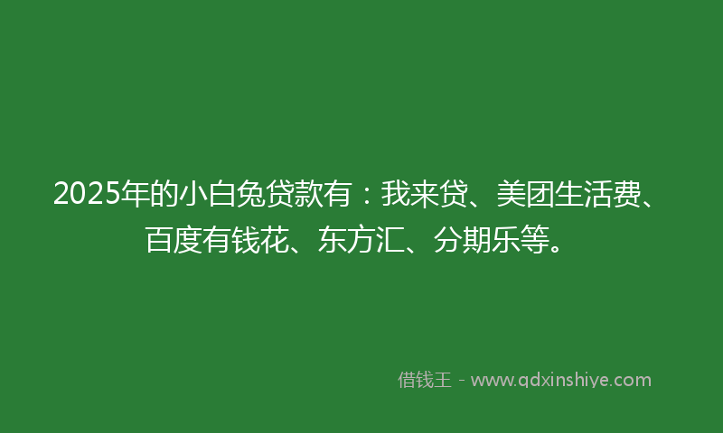 2025年的小白兔贷款有：我来贷、美团生活费、百度有钱花、东方汇、分期乐等。