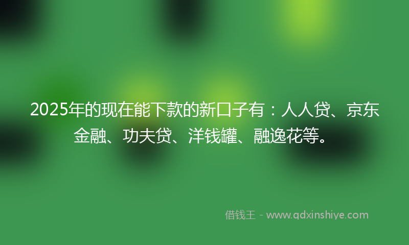 2025年的现在能下款的新口子有：人人贷、京东金融、功夫贷、洋钱罐、融逸花等。