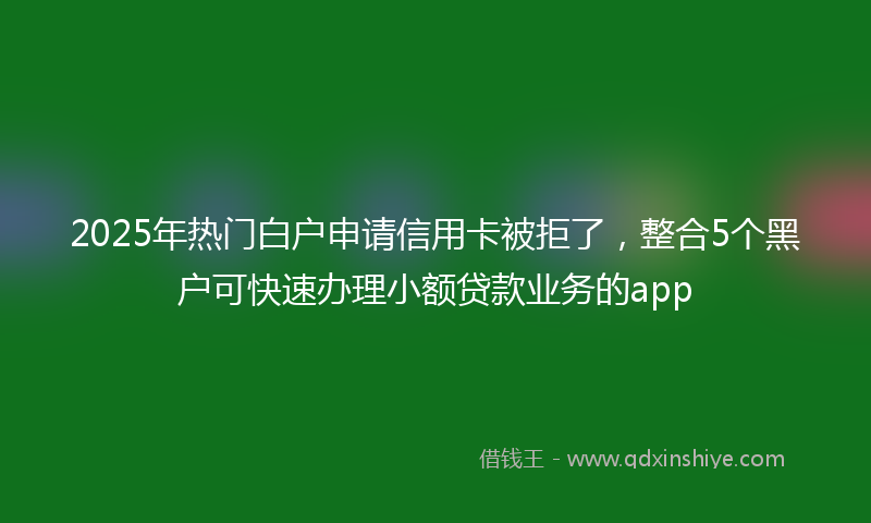 2025年热门白户申请信用卡被拒了，整合5个黑户可快速办理小额贷款业务的app