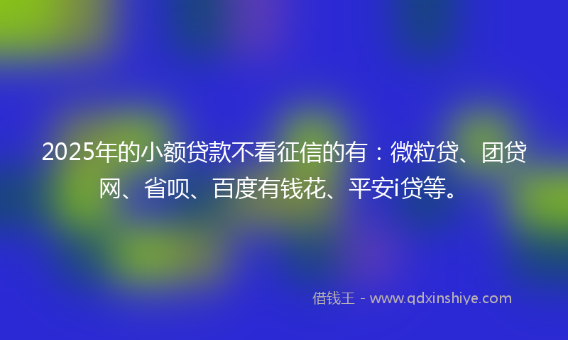 2025年的小额贷款不看征信的有：微粒贷、团贷网、省呗、百度有钱花、平安i贷等。