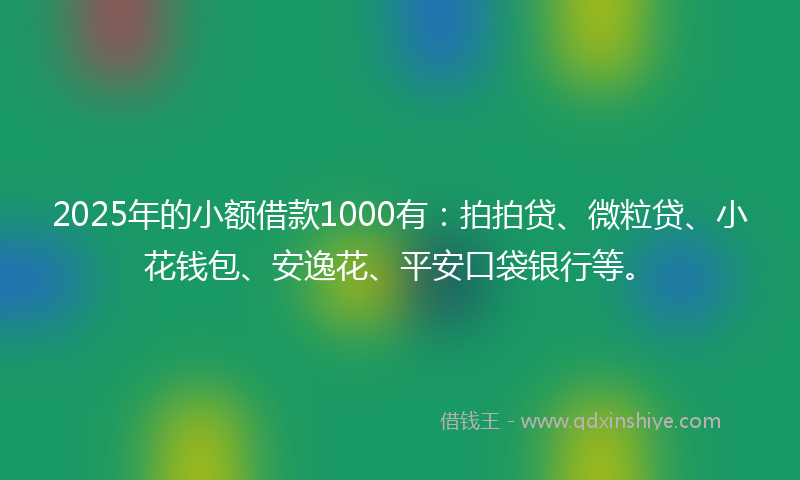 2025年的小额借款1000有：拍拍贷、微粒贷、小花钱包、安逸花、平安口袋银行等。