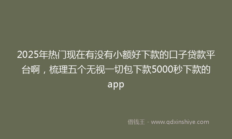 2025年热门现在有没有小额好下款的口子贷款平台啊，梳理五个无视一切包下款5000秒下款的app