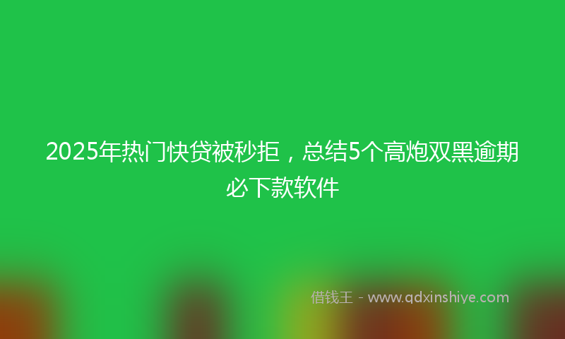 2025年热门快贷被秒拒，总结5个高炮双黑逾期必下款软件
