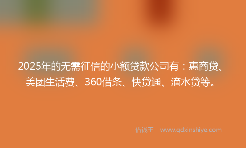 2025年的无需征信的小额贷款公司有：惠商贷、美团生活费、360借条、快贷通、滴水贷等。