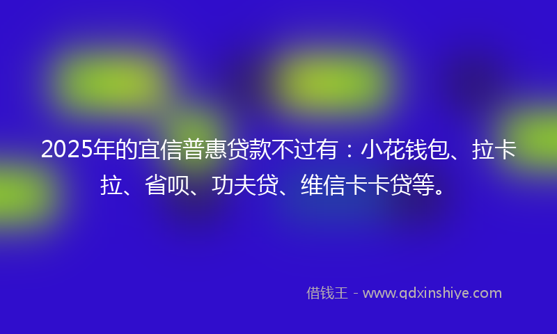 2025年的宜信普惠贷款不过有：小花钱包、拉卡拉、省呗、功夫贷、维信卡卡贷等。