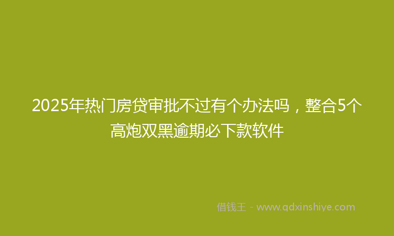 2025年热门房贷审批不过有个办法吗，整合5个高炮双黑逾期必下款软件