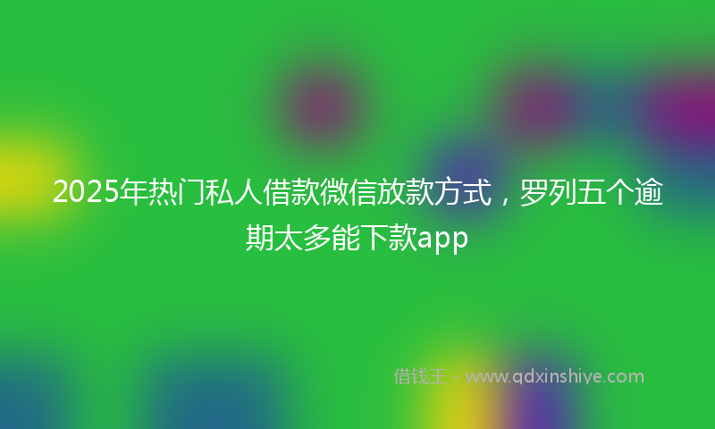 2025年热门私人借款微信放款方式，罗列五个逾期太多能下款app