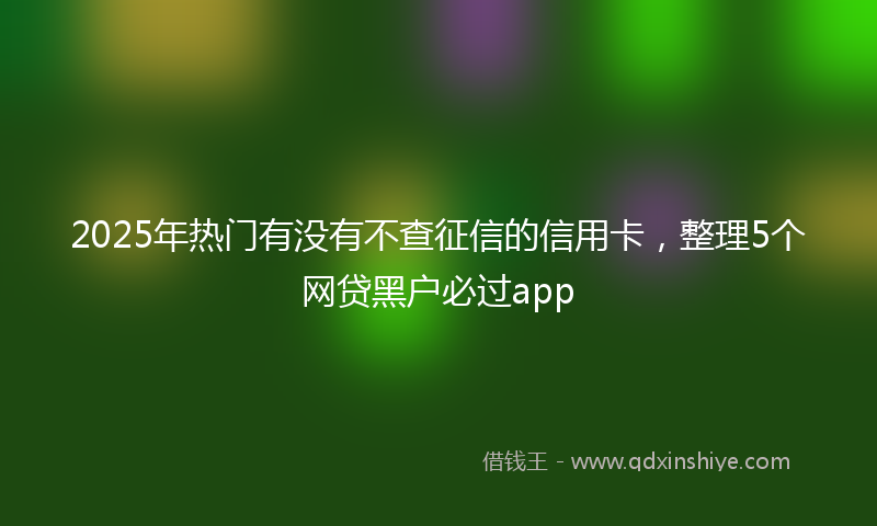 2025年热门有没有不查征信的信用卡，整理5个网贷黑户必过app
