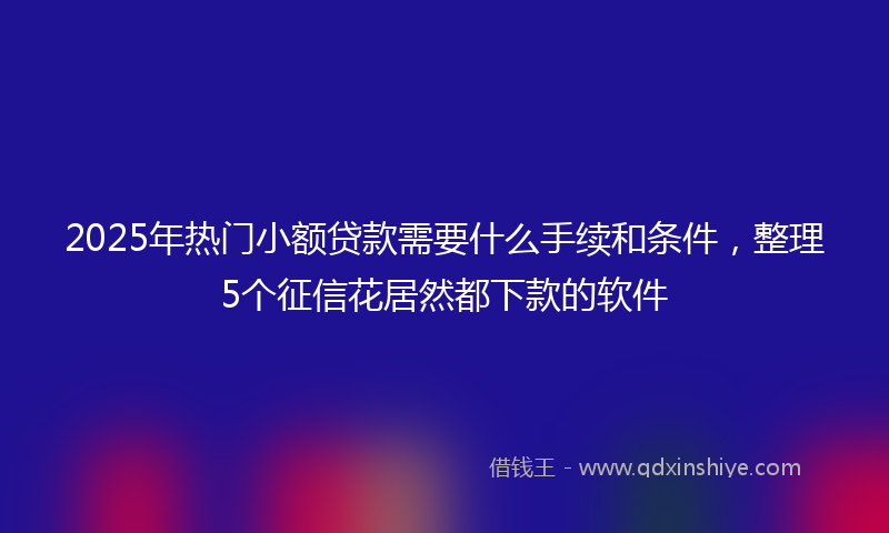 2025年热门小额贷款需要什么手续和条件，整理5个征信花居然都下款的软件