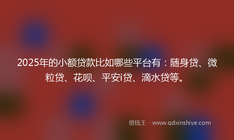 2025年的小额贷款比如哪些平台有:随身贷、微粒贷、花呗、平安i贷、滴水贷等。