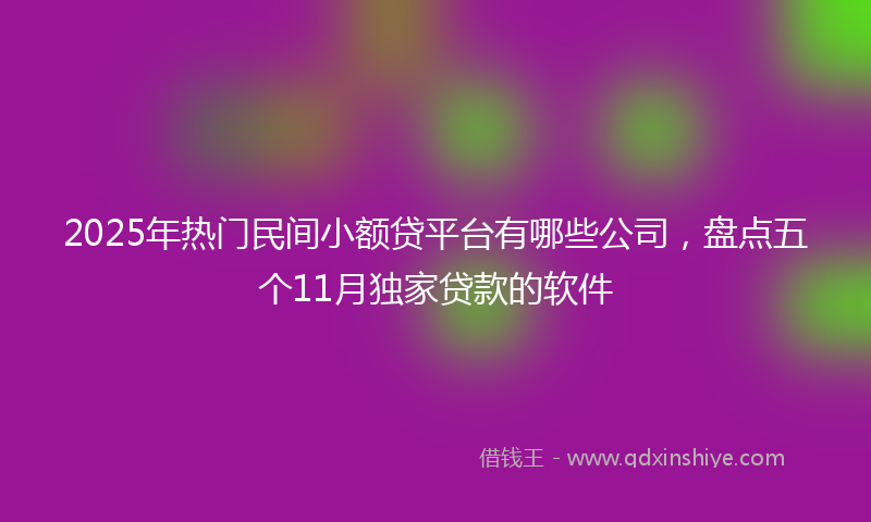 2025年热门民间小额贷平台有哪些公司，盘点五个11月独家贷款的软件