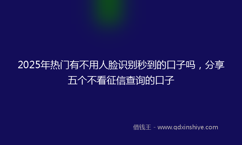 2025年热门有不用人脸识别秒到的口子吗，分享五个不看征信查询的口子