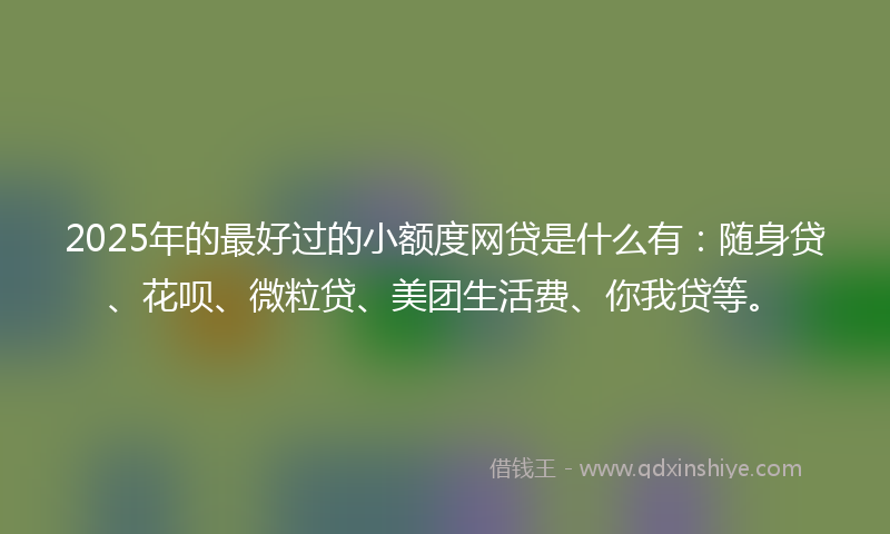 2025年的最好过的小额度网贷是什么有：随身贷、花呗、微粒贷、美团生活费、你我贷等。