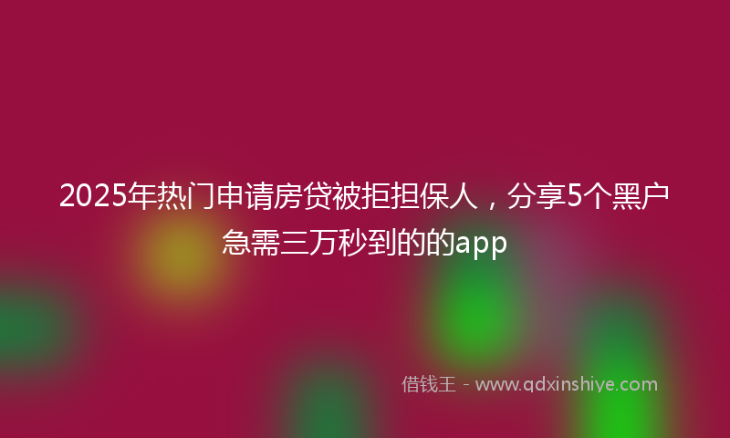 2025年热门申请房贷被拒担保人，分享5个黑户急需三万秒到的的app