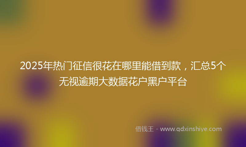 2025年热门征信很花在哪里能借到款，汇总5个无视逾期大数据花户黑户平台