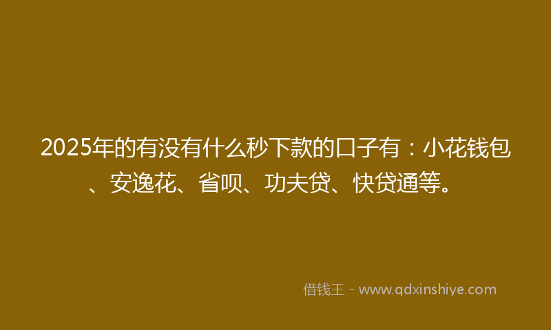 2025年的有没有什么秒下款的口子有：小花钱包、安逸花、省呗、功夫贷、快贷通等。