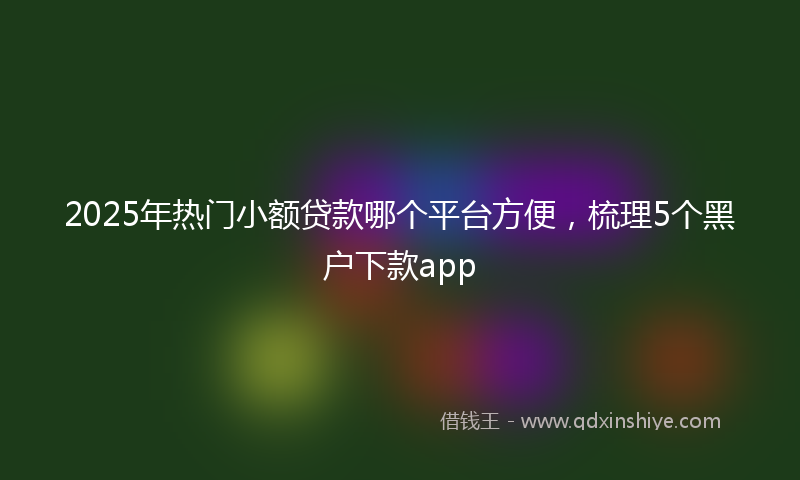 2025年热门小额贷款哪个平台方便，梳理5个黑户下款app