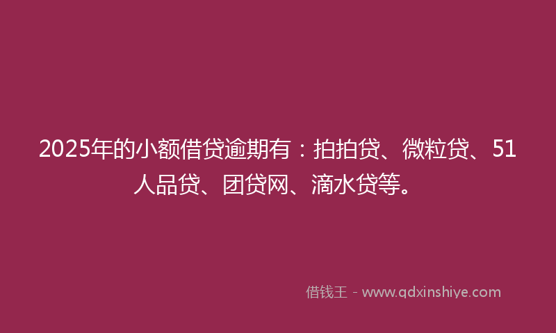 2025年的小额借贷逾期有：拍拍贷、微粒贷、51人品贷、团贷网、滴水贷等。
