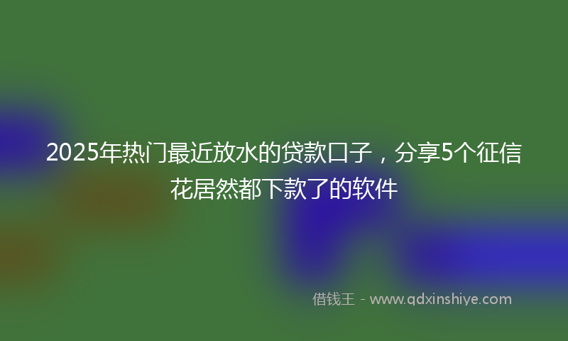 2025年热门最近放水的贷款口子，分享5个征信花居然都下款了的软件