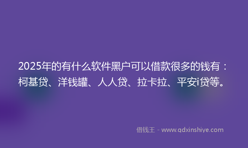 2025年的有什么软件黑户可以借款很多的钱有：柯基贷、洋钱罐、人人贷、拉卡拉、平安i贷等。