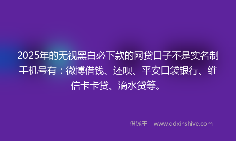 2025年的无视黑白必下款的网贷口子不是实名制手机号有：微博借钱、还呗、平安口袋银行、维信卡卡贷、滴水贷等。