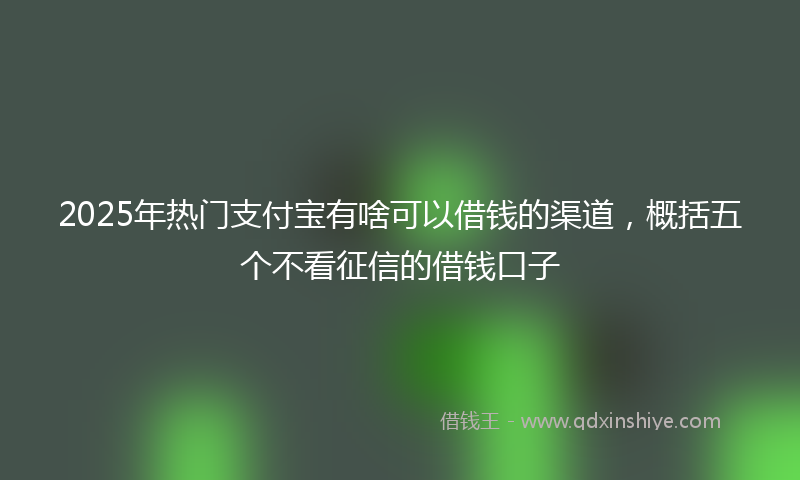 2025年热门支付宝有啥可以借钱的渠道，概括五个不看征信的借钱口子