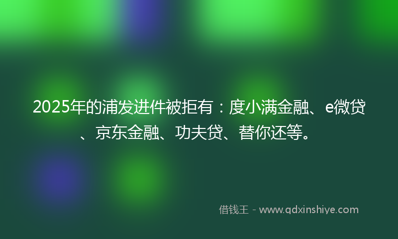 2025年的浦发进件被拒有：度小满金融、e微贷、京东金融、功夫贷、替你还等。