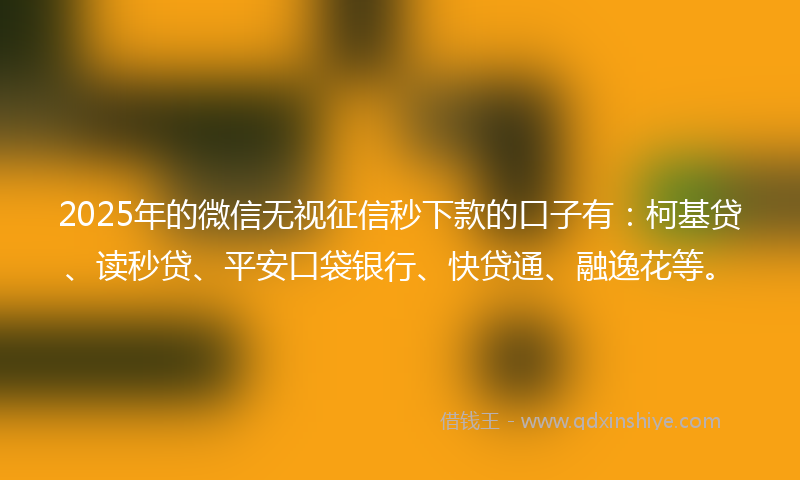 2025年的微信无视征信秒下款的口子有：柯基贷、读秒贷、平安口袋银行、快贷通、融逸花等。