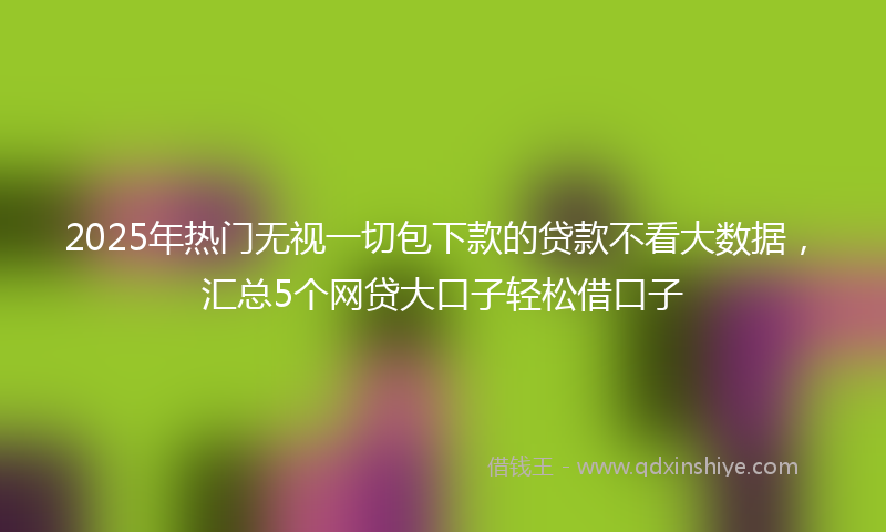 2025年热门无视一切包下款的贷款不看大数据，汇总5个网贷大口子轻松借口子