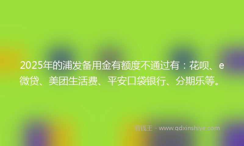 2025年的浦发备用金有额度不通过有：花呗、e微贷、美团生活费、平安口袋银行、分期乐等。