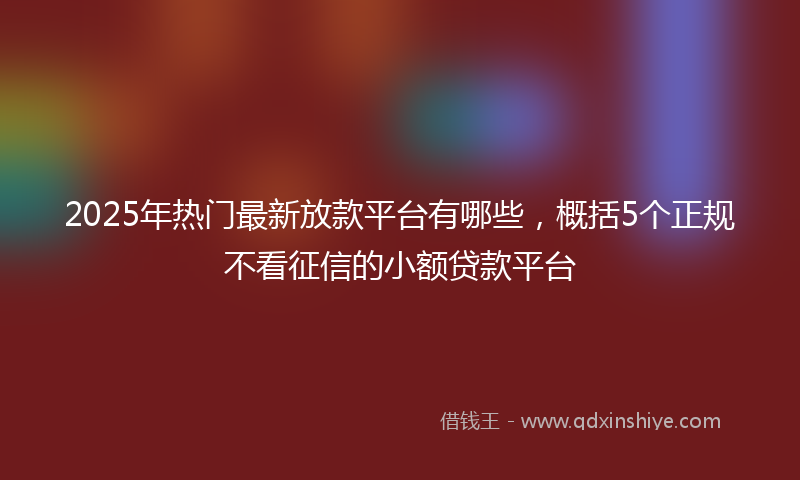 2025年热门最新放款平台有哪些，概括5个正规不看征信的小额贷款平台
