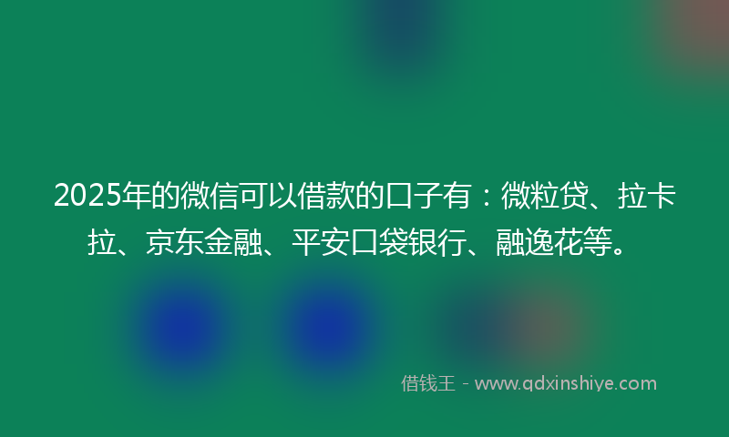 2025年的微信可以借款的口子有：微粒贷、拉卡拉、京东金融、平安口袋银行、融逸花等。