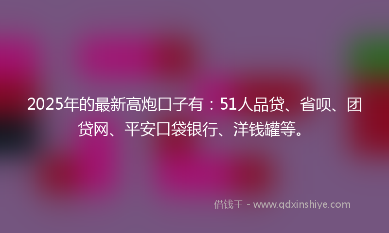 2025年的最新高炮口子有：51人品贷、省呗、团贷网、平安口袋银行、洋钱罐等。