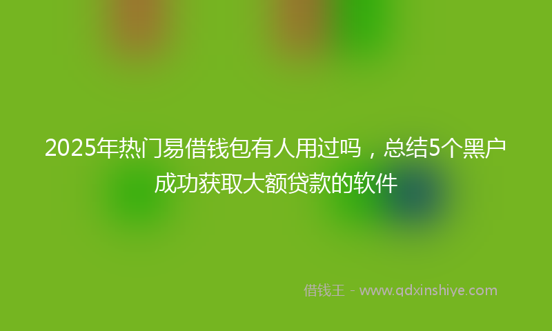 2025年热门易借钱包有人用过吗，总结5个黑户成功获取大额贷款的软件
