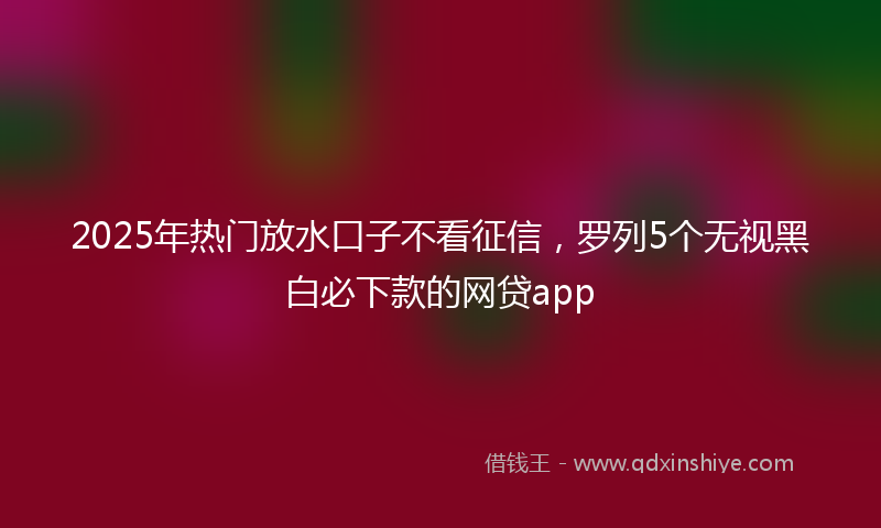 2025年热门放水口子不看征信，罗列5个无视黑白必下款的网贷app
