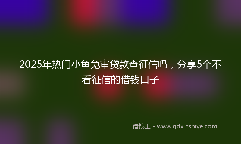 2025年热门小鱼免审贷款查征信吗，分享5个不看征信的借钱口子