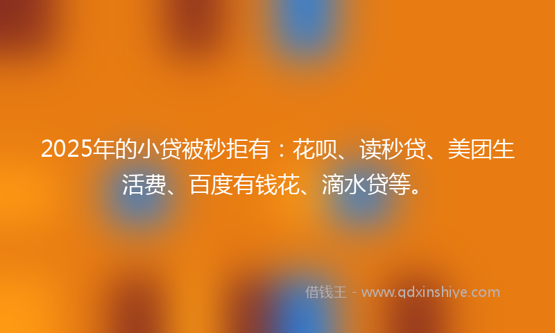 2025年的小贷被秒拒有：花呗、读秒贷、美团生活费、百度有钱花、滴水贷等。