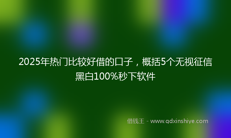 2025年热门比较好借的口子，概括5个无视征信黑白100%秒下软件
