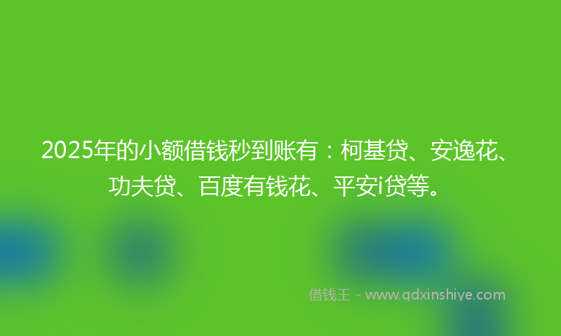 2025年的小额借钱秒到账有：柯基贷、安逸花、功夫贷、百度有钱花、平安i贷等。