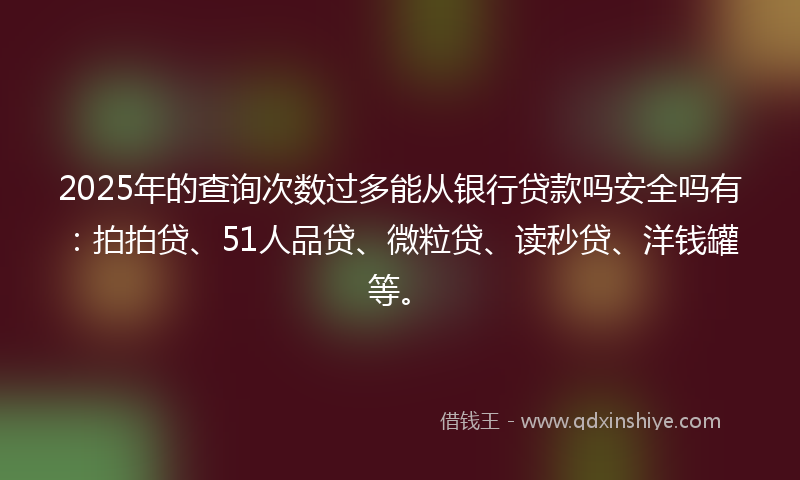 2025年的查询次数过多能从银行贷款吗安全吗有：拍拍贷、51人品贷、微粒贷、读秒贷、洋钱罐等。