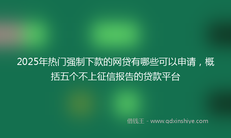 2025年热门强制下款的网贷有哪些可以申请，概括五个不上征信报告的贷款平台
