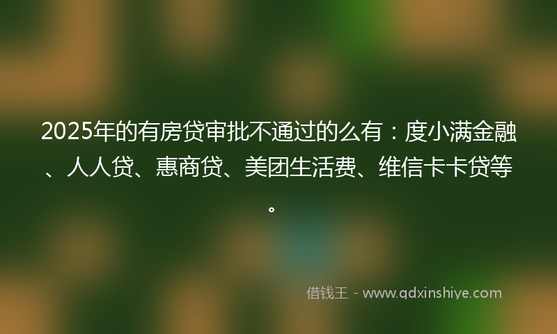 2025年的有房贷审批不通过的么有：度小满金融、人人贷、惠商贷、美团生活费、维信卡卡贷等。