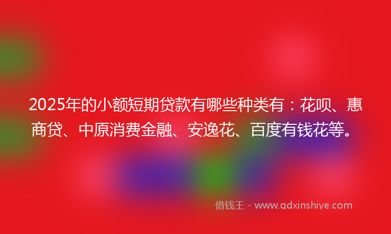 2025年的小额短期贷款有哪些种类有：花呗、惠商贷、中原消费金融、安逸花、百度有钱花等。