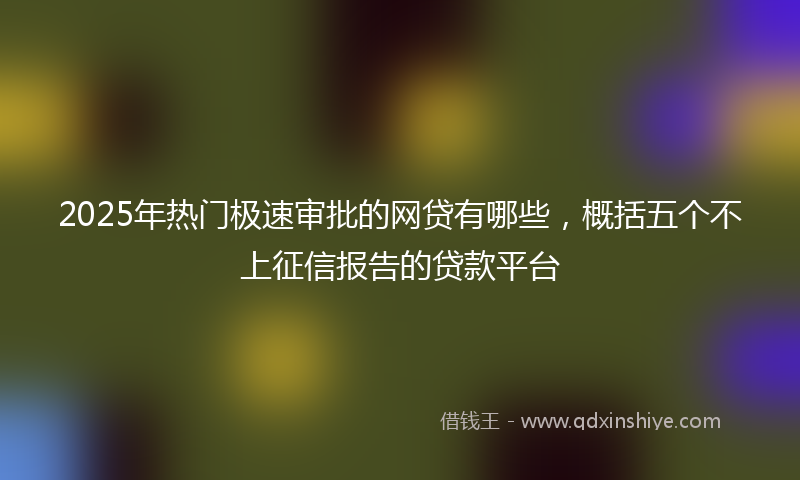 2025年热门极速审批的网贷有哪些，概括五个不上征信报告的贷款平台