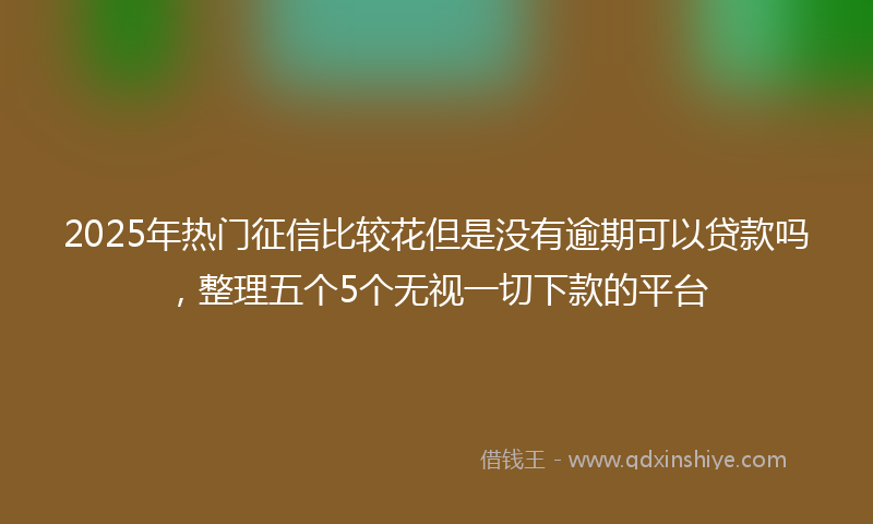 2025年热门征信比较花但是没有逾期可以贷款吗，整理五个5个无视一切下款的平台