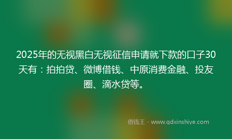 2025年的无视黑白无视征信申请就下款的口子30天有：拍拍贷、微博借钱、中原消费金融、投友圈、滴水贷等。