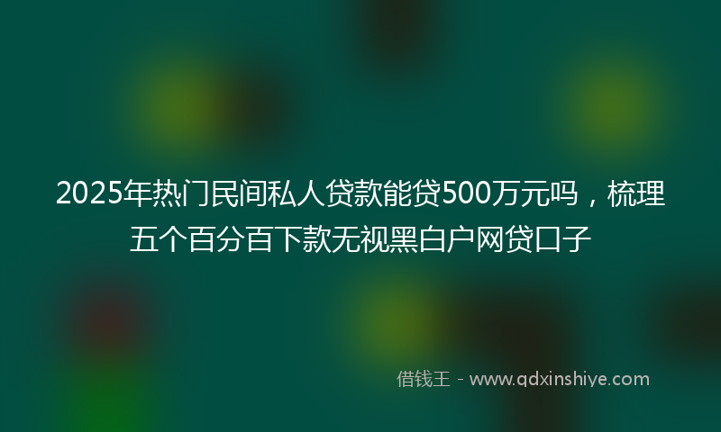 2025年热门民间私人贷款能贷500万元吗，梳理五个百分百下款无视黑白户网贷口子